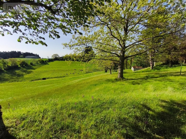 Maison a vendre Montsalvy 15120 Cantal 210 m2 8 pièces 332800 euros