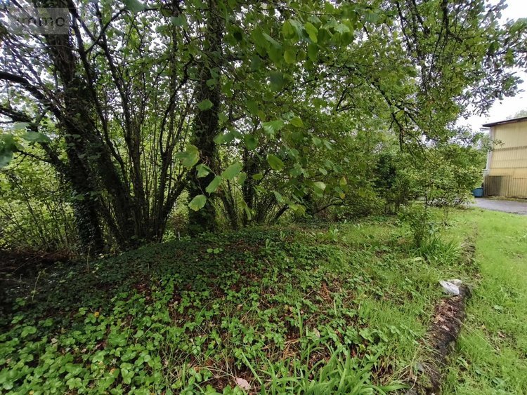 Maison a vendre Roannes-Saint-Mary 15220 Cantal 159 m2 7 pièces 95400 euros