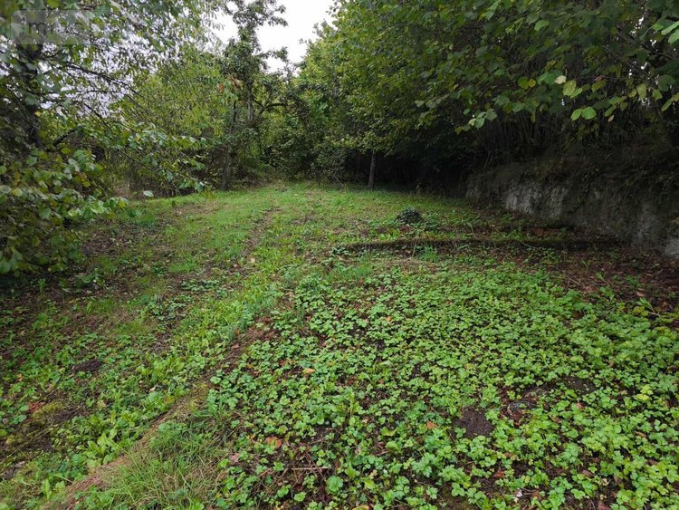 Maison a vendre Roannes-Saint-Mary 15220 Cantal 159 m2 7 pièces 95400 euros