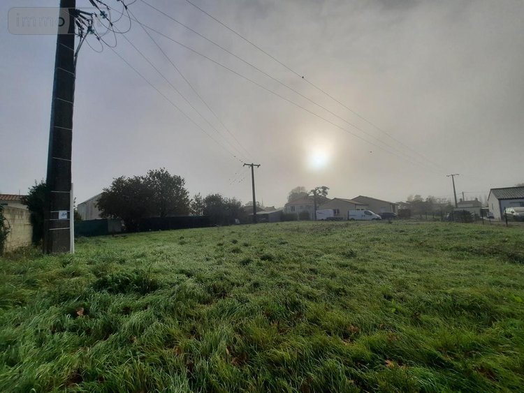 Terrain a batir a vendre Touvois 44650 Loire-Atlantique 926 m2  54000 euros