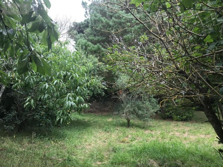 Maison a vendre Plouhinec 56680 Morbihan 120 m2 5 pièces 327600 euros