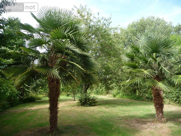 Maison a vendre Thun-Saint-Martin 59141 Nord 297 m2 6 pièces 898560 euros