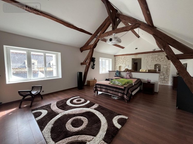 Maison a vendre Parçay-sur-Vienne 37220 Indre-et-Loire 222 m2 8 pièces 283500 euros