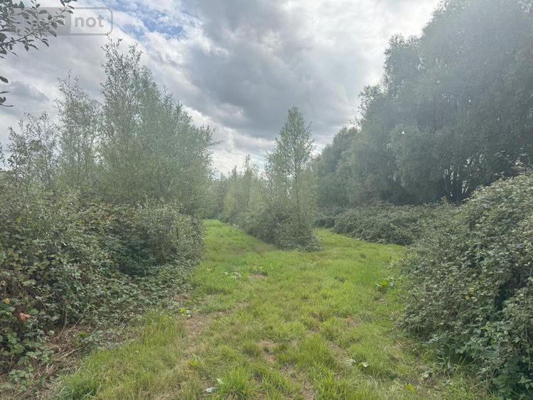 Terrains de loisirs bois etangs a vendre Prisches 59550 Nord 53030 m2  179350 euros