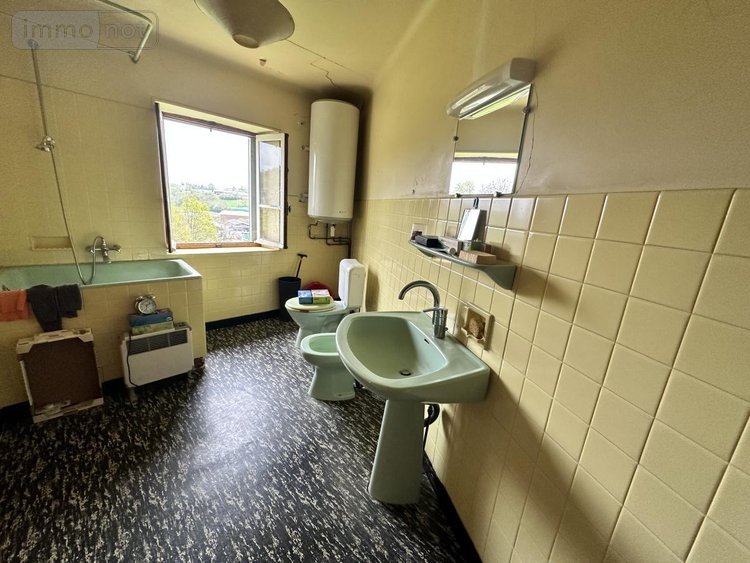 Maison a vendre Neuvéglise-sur-Truyère 15260 Cantal 160 m2  79500 euros