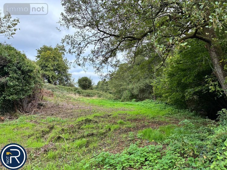 Terrains de loisirs bois etangs a vendre Montaudin 53220 Mayenne 2522 m2  13500 euros