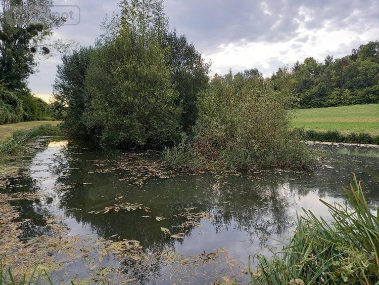 Divers a vendre Muret-et-Crouttes 02210 Aisne 8800 m2  55600 euros