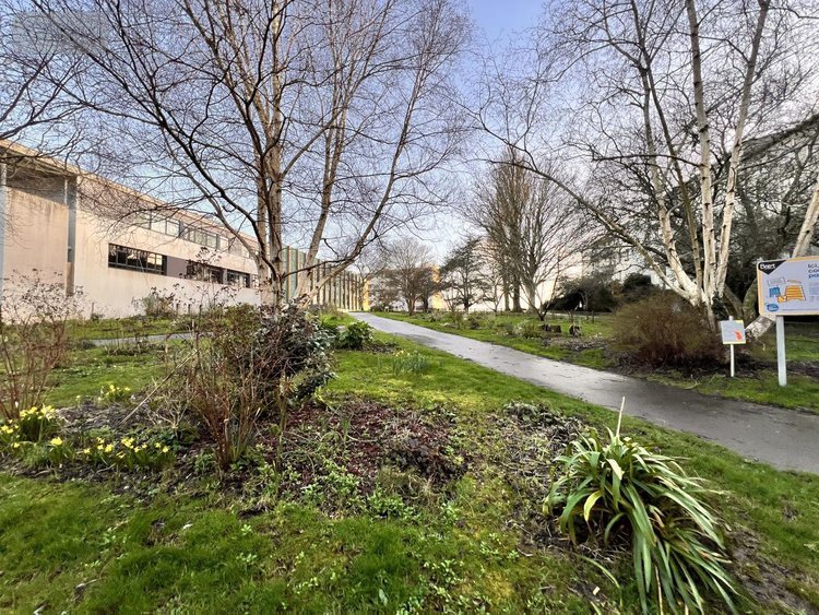 Appartement a vendre Brest 29200 Finistère 53 m2 2 pièces 141000 euros