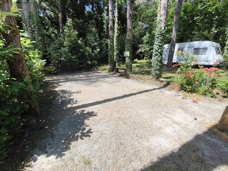 Terrains de loisirs bois etangs a vendre Nivillac 56130 Morbihan 5500 m2  106500 euros