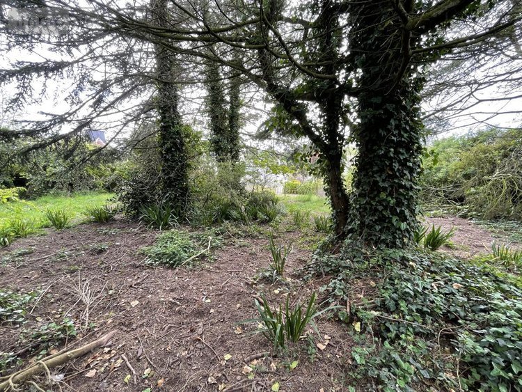Terrain a batir a vendre Paimpol 22500 Côtes-d'Armor 1069 m2  136140 euros
