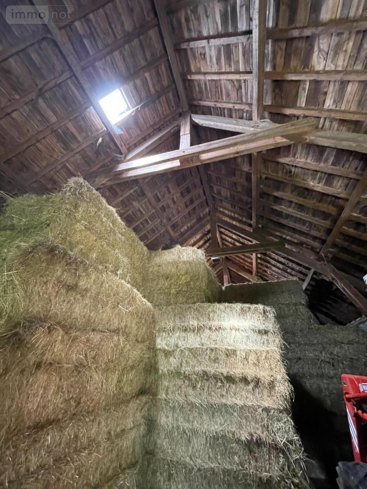 Maison a vendre Chauchailles 48310 Lozère 690 m2 15 pièces 550000 euros