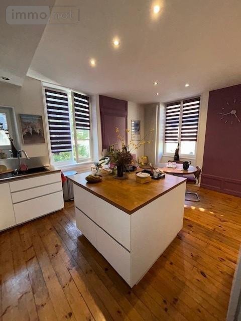 Viager maison Riom 63200 Puy-de-Dôme 320 m2 14 pièces 477750 euros