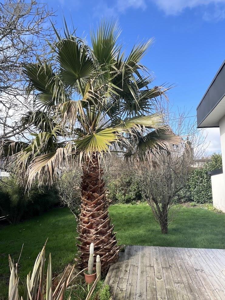 Maison a vendre Gouesnach 29950 Finistère 116 m2 6 pièces 479000 euros
