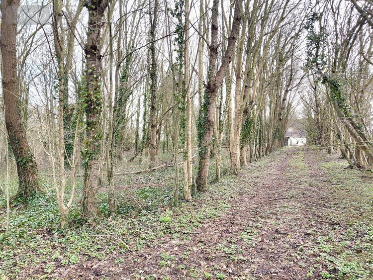 Maison a vendre Belforêt-en-Perche 61130 Orne 90 m2 5 pièces 129320 euros