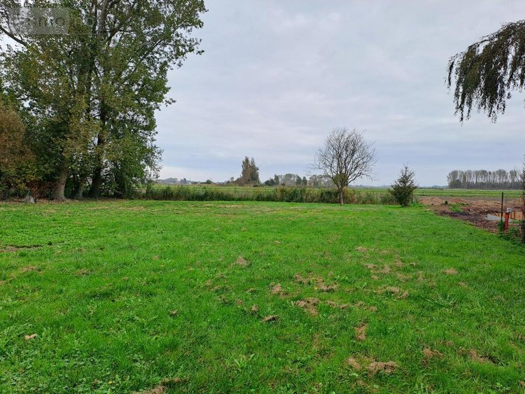 Maison a vendre Guemps 62370 Pas-de-Calais 96 m2 6 pièces 306900 euros