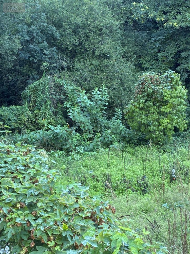 Maison a vendre Salmiech 12120 Aveyron 95 m2 6 pièces 84500 euros