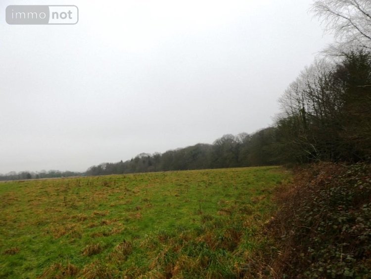 Maison a vendre Gueltas 56920 Morbihan 160 m2 7 pièces 367000 euros