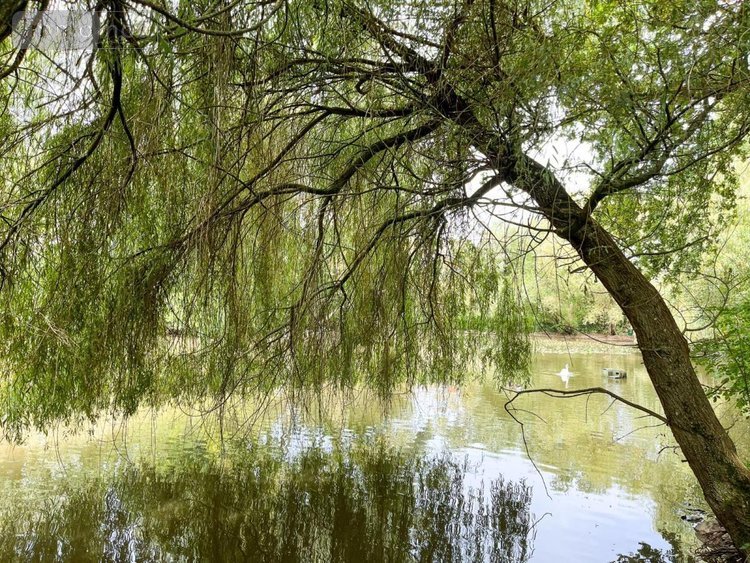 Maison a vendre Pacé 35740 Ille-et-Vilaine 256 m2 8 pièces 795200 euros