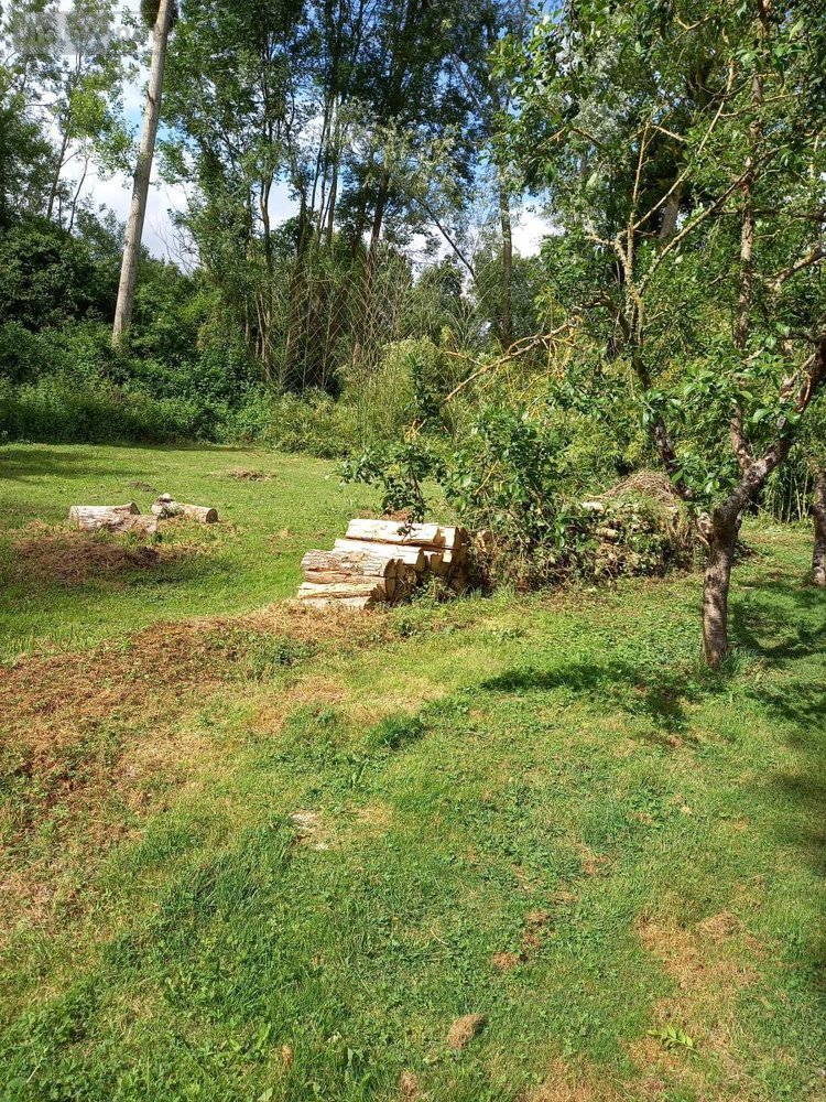 Terrains de loisirs bois etangs a vendre Parçay-sur-Vienne 37220 Indre-et-Loire 7760 m2  23600 euros