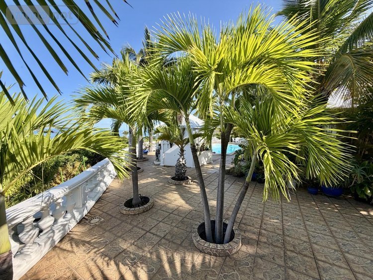 Maison a vendre Saint-Paul 97460 Réunion 150 m2 6 pièces 1700000 euros