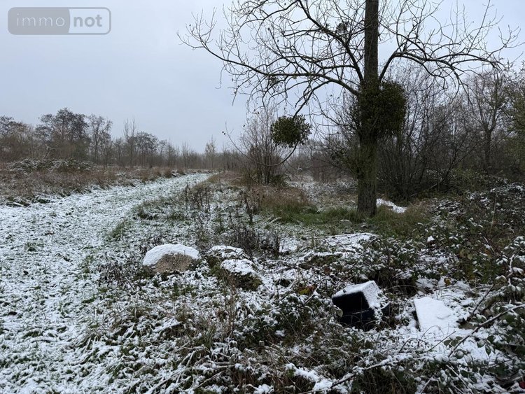 Divers a vendre Landrecies 59550 Nord 37698 m2  314400 euros