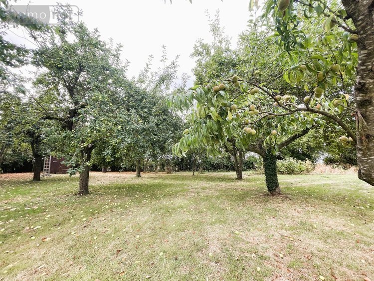 Maison a vendre Vivoin 72170 Sarthe 357 m2 15 pièces 350000 euros