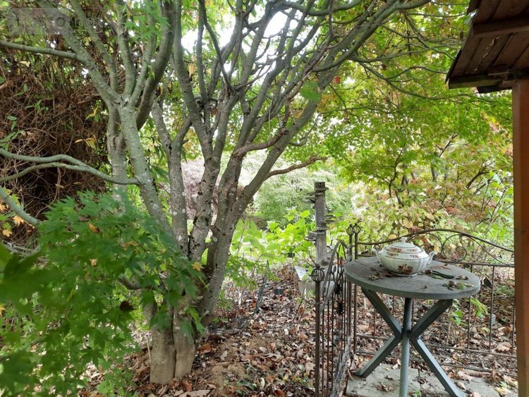 Maison a vendre Lougres 25260 Doubs 211 m2 8 pièces 249000 euros