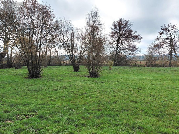 Maison a vendre Cour-Maugis-sur-Huisne 61110 Orne 60 m2 4 pièces 54000 euros