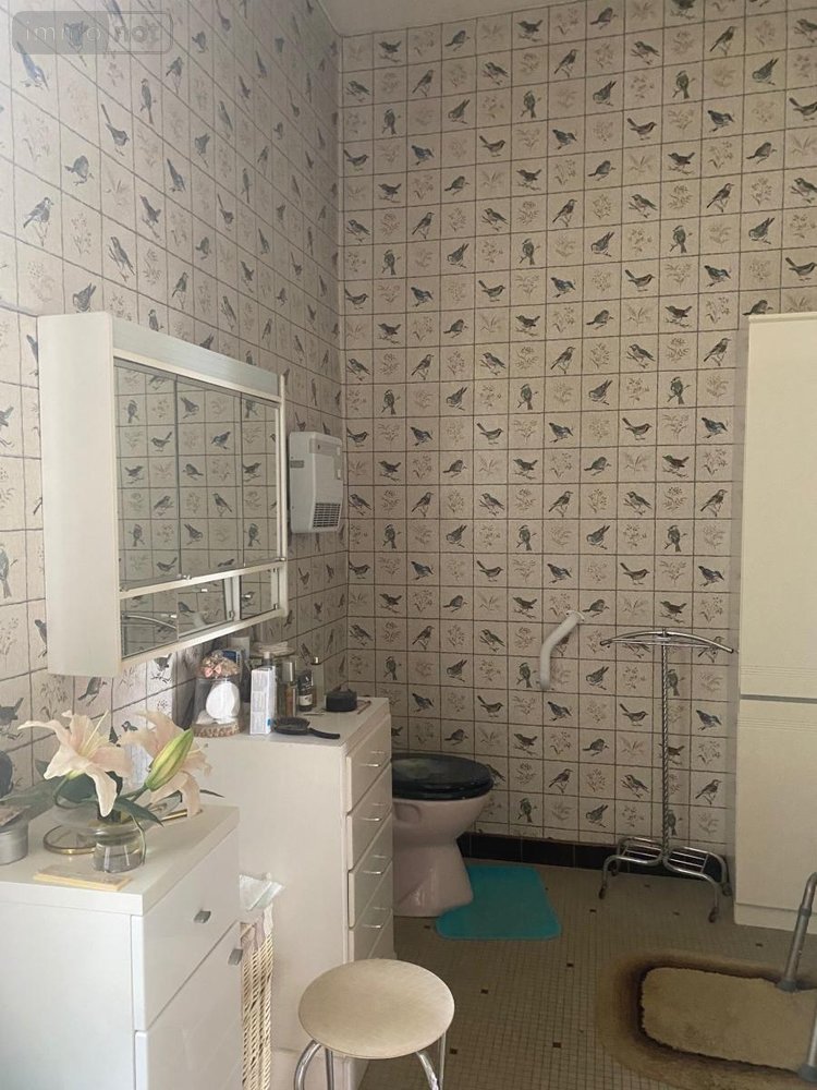 Maison a vendre Parné-sur-Roc 53260 Mayenne 225 m2  351550 euros