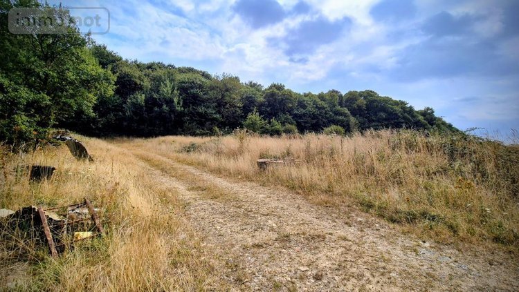 Divers a vendre Freigné 44540 Loire-Atlantique 671 m2  270400 euros