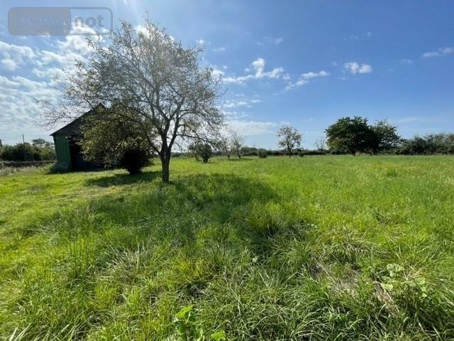 Terrains de loisirs bois etangs a vendre Noyen-sur-Sarthe 72430 Sarthe 3530 m2  32400 euros
