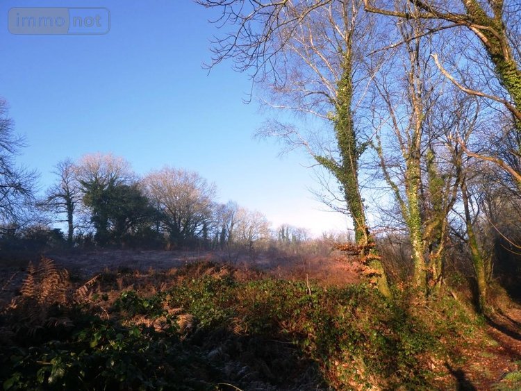 Maison a vendre Ploërdut 56160 Morbihan 150 m2 7 pièces 407750 euros
