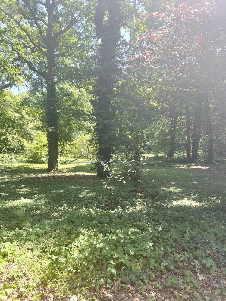 Maison a vendre Marchenoir 41370 Loir-et-Cher 231 m2 6 pièces 609000 euros