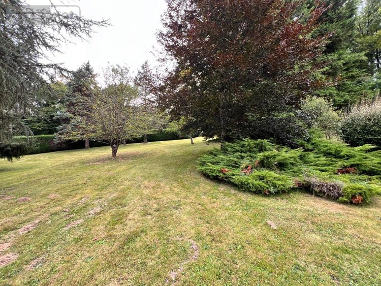 Maison a vendre Mareuil-sur-Cher 41110 Loir-et-Cher 177 m2 7 pièces 378000 euros