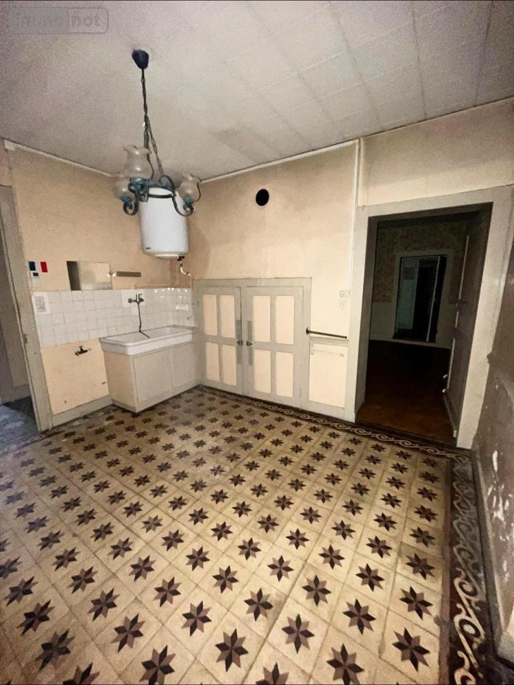 Immeuble a vendre Rochefort-sur-Nenon 39700 Jura 142 m2  158000 euros
