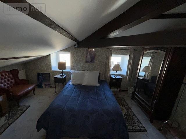 Viager maison Riom 63200 Puy-de-Dôme 320 m2 14 pièces 477750 euros