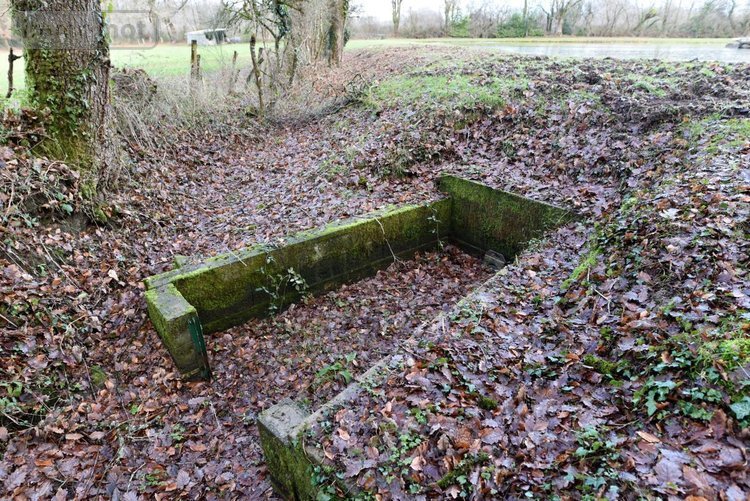 Terrains de loisirs bois etangs a vendre Mézangers 53600 Mayenne 9160 m2  63000 euros