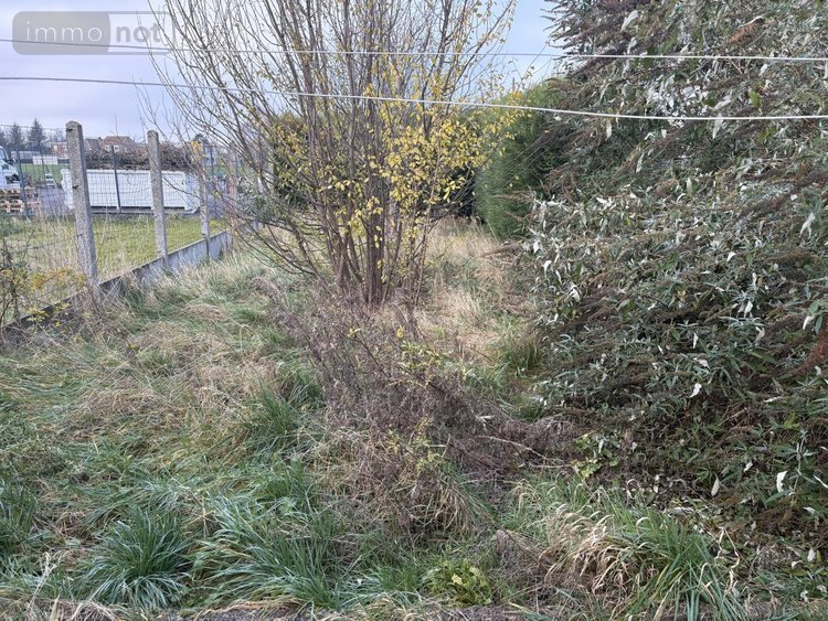 Maison a vendre Montigny-en-Gohelle 62640 Pas-de-Calais 78 m2 5 pièces 69680 euros