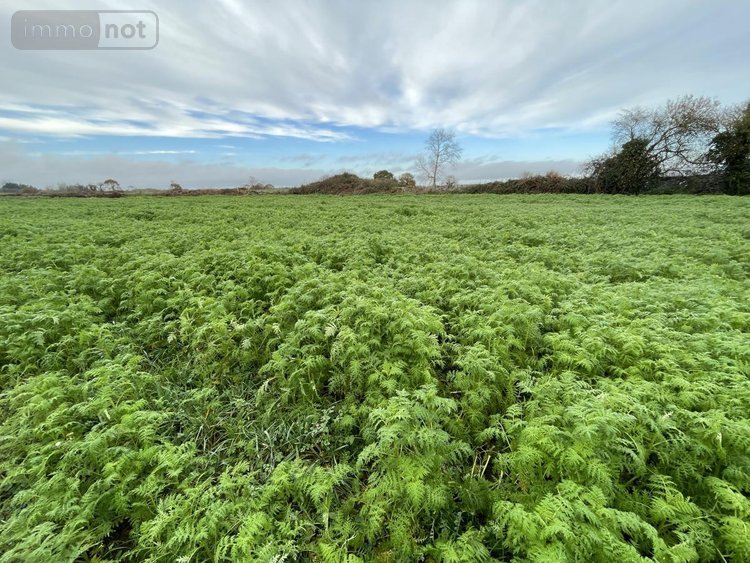 Maison a vendre Plouézec 22470 Côtes-d'Armor 129 m2 4 pièces 148500 euros