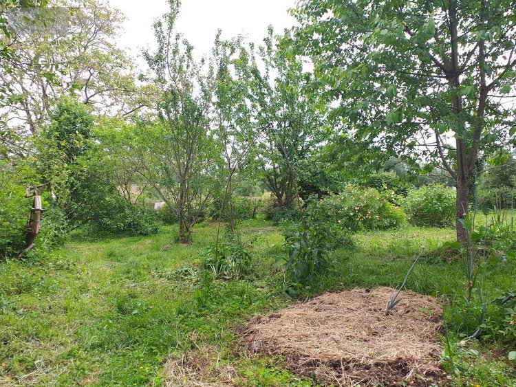 Maison a vendre Locmaria-Grand-Champ 56390 Morbihan 171 m2 5 pièces 356722 euros