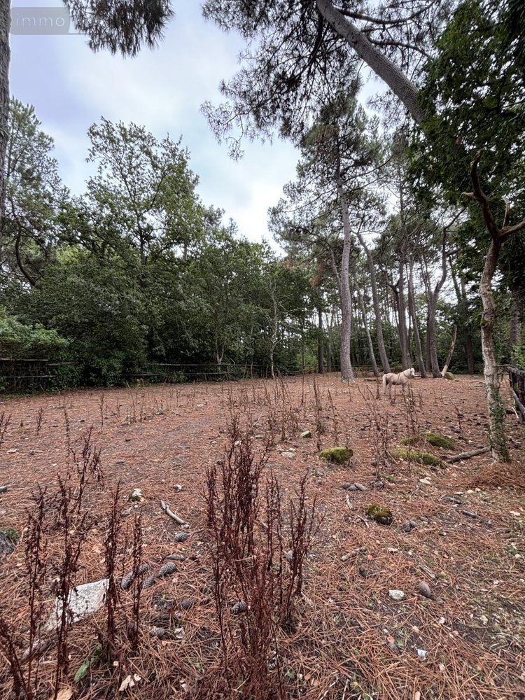 Maison a vendre Ploemeur 56270 Morbihan 230 m2 8 pièces 830240 euros