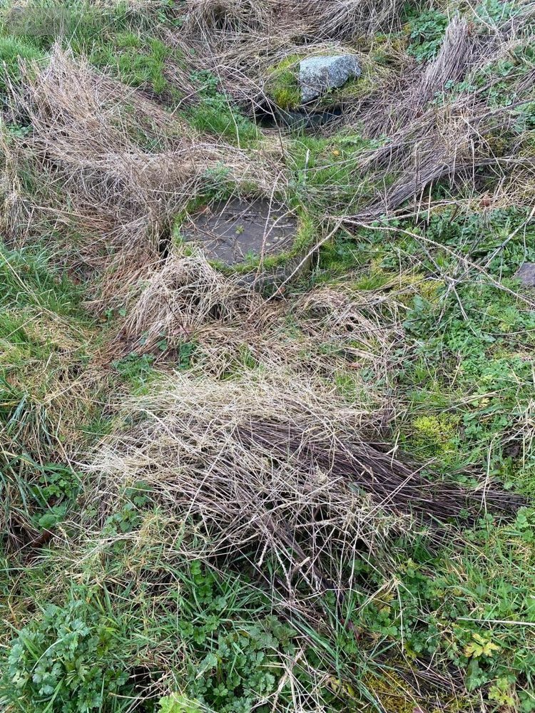 Maison a vendre Saint-Aubin-des-Bois 14380 Calvados 129 m2 4 pièces 147700 euros