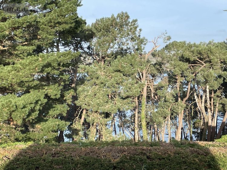 Maison a vendre Ploubazlanec 22620 Côtes-d'Armor 80 m2 5 pièces 301950 euros