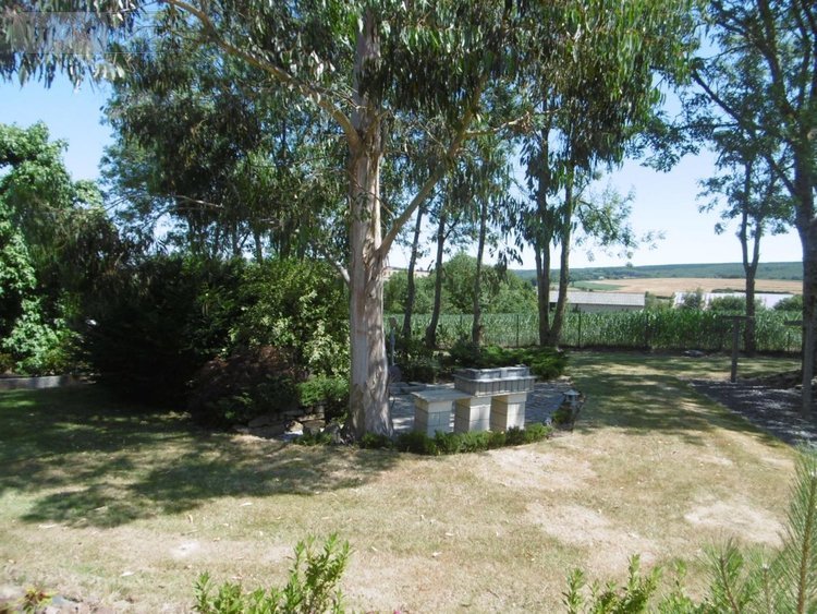 Maison a vendre Saint-Pierre-Tarentaine 14350 Calvados 147 m2 7 pièces 422000 euros