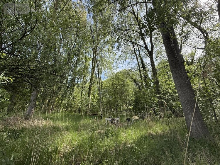 Terrains de loisirs bois etangs a vendre Daours 80800 Somme 7080 m2  28000 euros