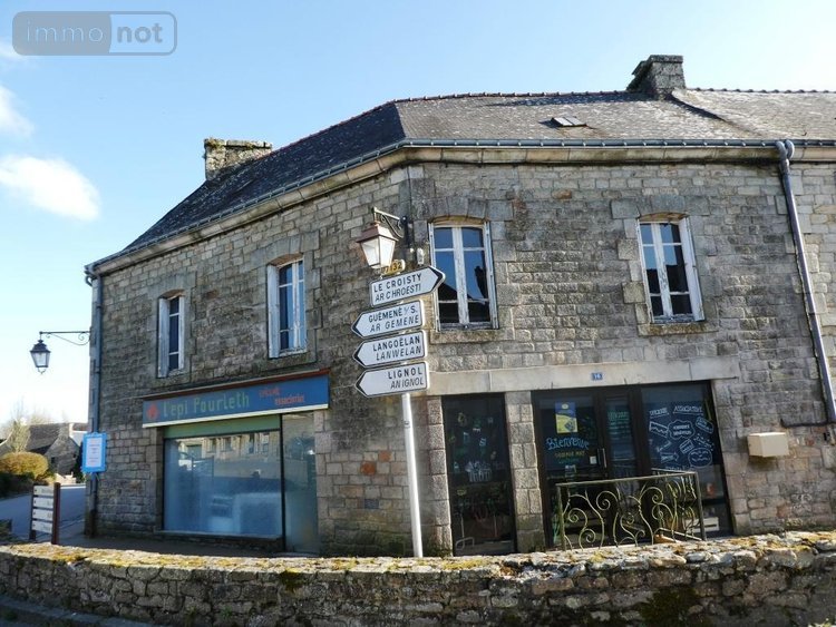 Immeuble a vendre Ploërdut 56160 Morbihan 230 m2  100530 euros