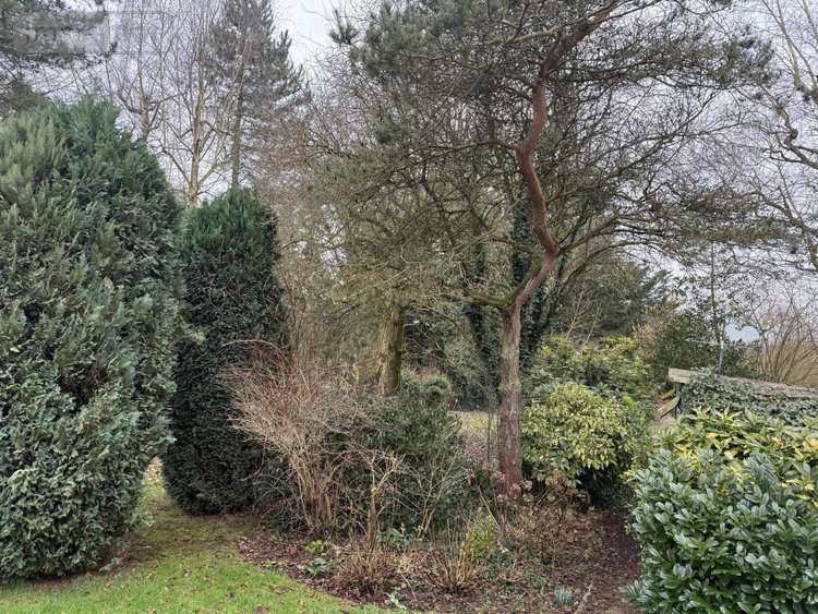 Maison a vendre Caudry 59540 Nord 92 m2 7 pièces 131000 euros