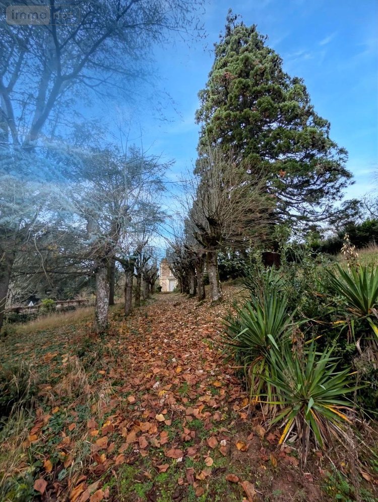 Maison a vendre Pocé-sur-Cisse 37530 Indre-et-Loire 300 m2 12 pièces 398250 euros