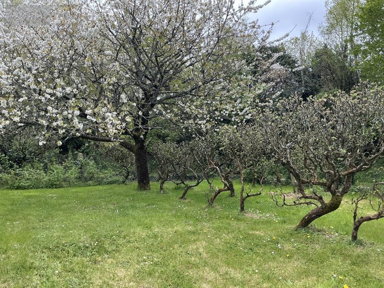 Maison a vendre Vannes 56000 Morbihan 110 m2 5 pièces 312900 euros