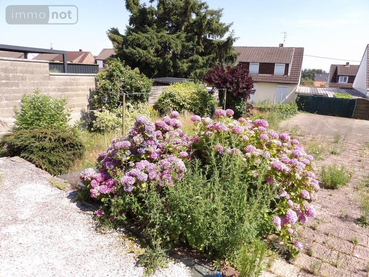 Maison a vendre Noeux les Mines 62290 Pas-de-Calais 59 m2  54500 euros